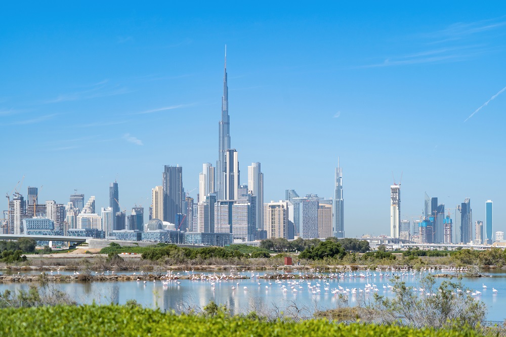 Property Types in Dubai