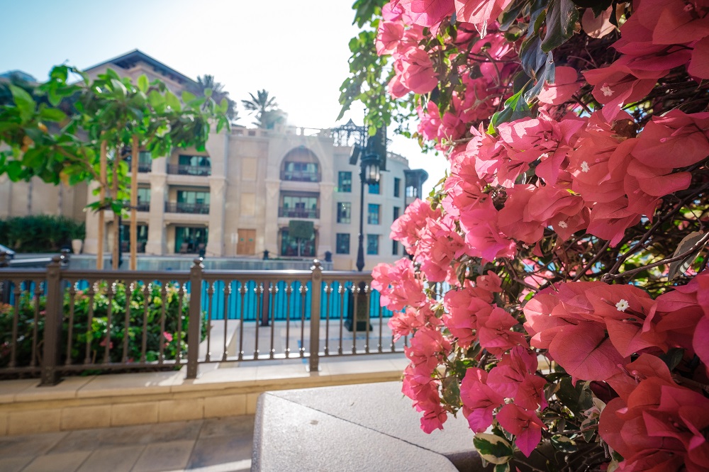 buy apartment in Dubai